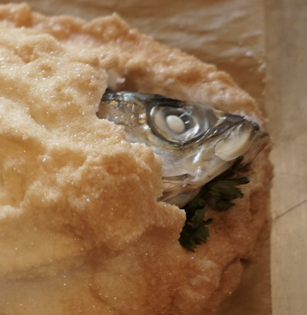 Cisco encrusted with salt.