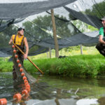 Two fisherman in a farming pond