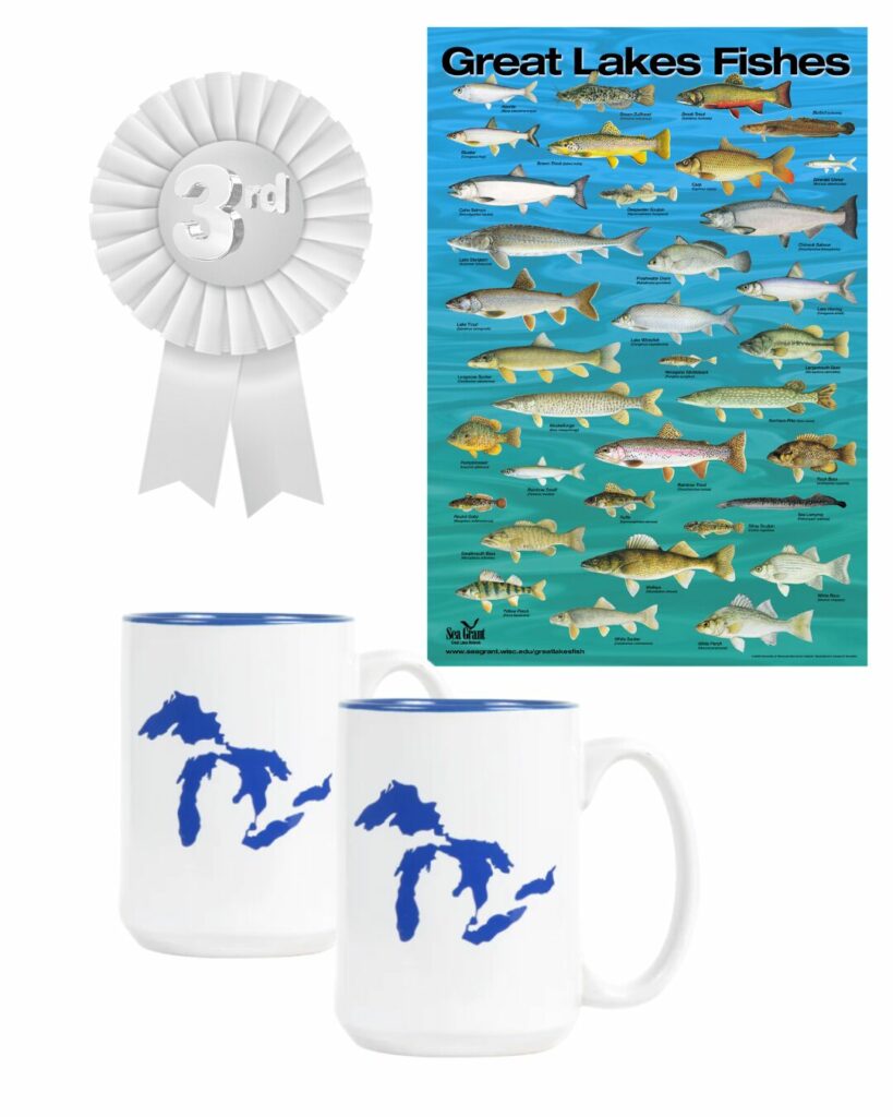 Third prize ribbon with a Great Lakes Fisheries poster and two mugs with silhouettes of the Great Lakes.